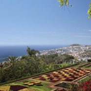 Declaração do Funchal – ICOM Europa e Federação Mundial de Amigos de Museus